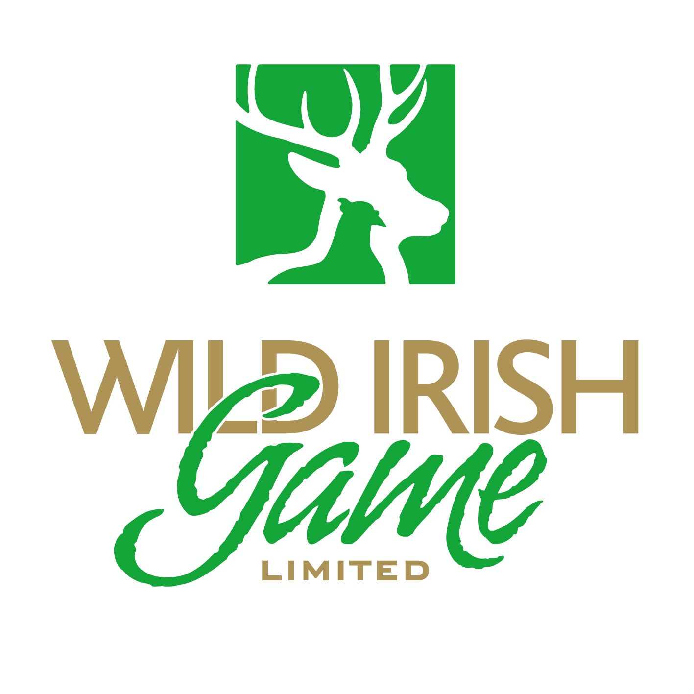 Wild Irish Game Logo